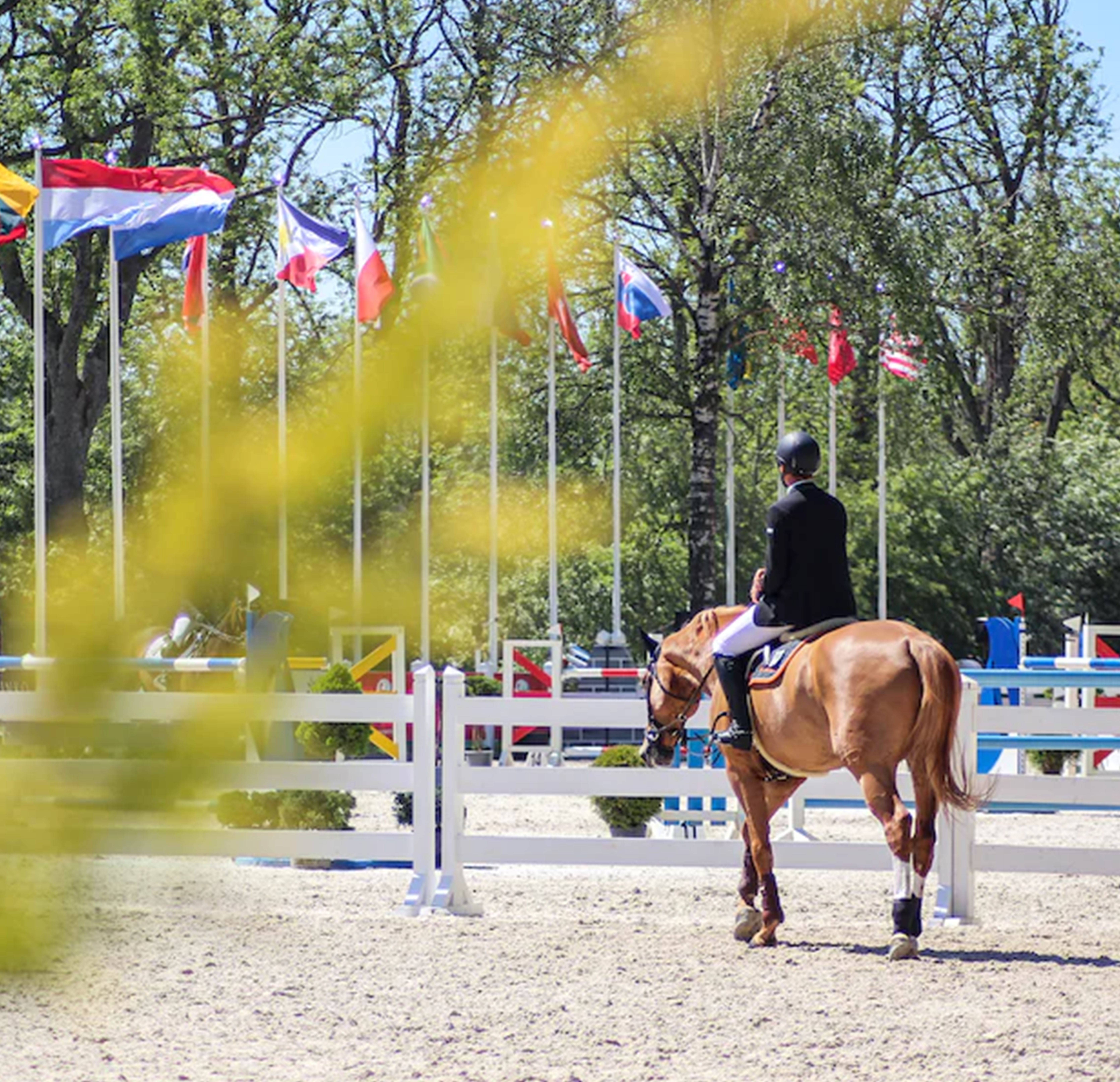 show-jumping-image